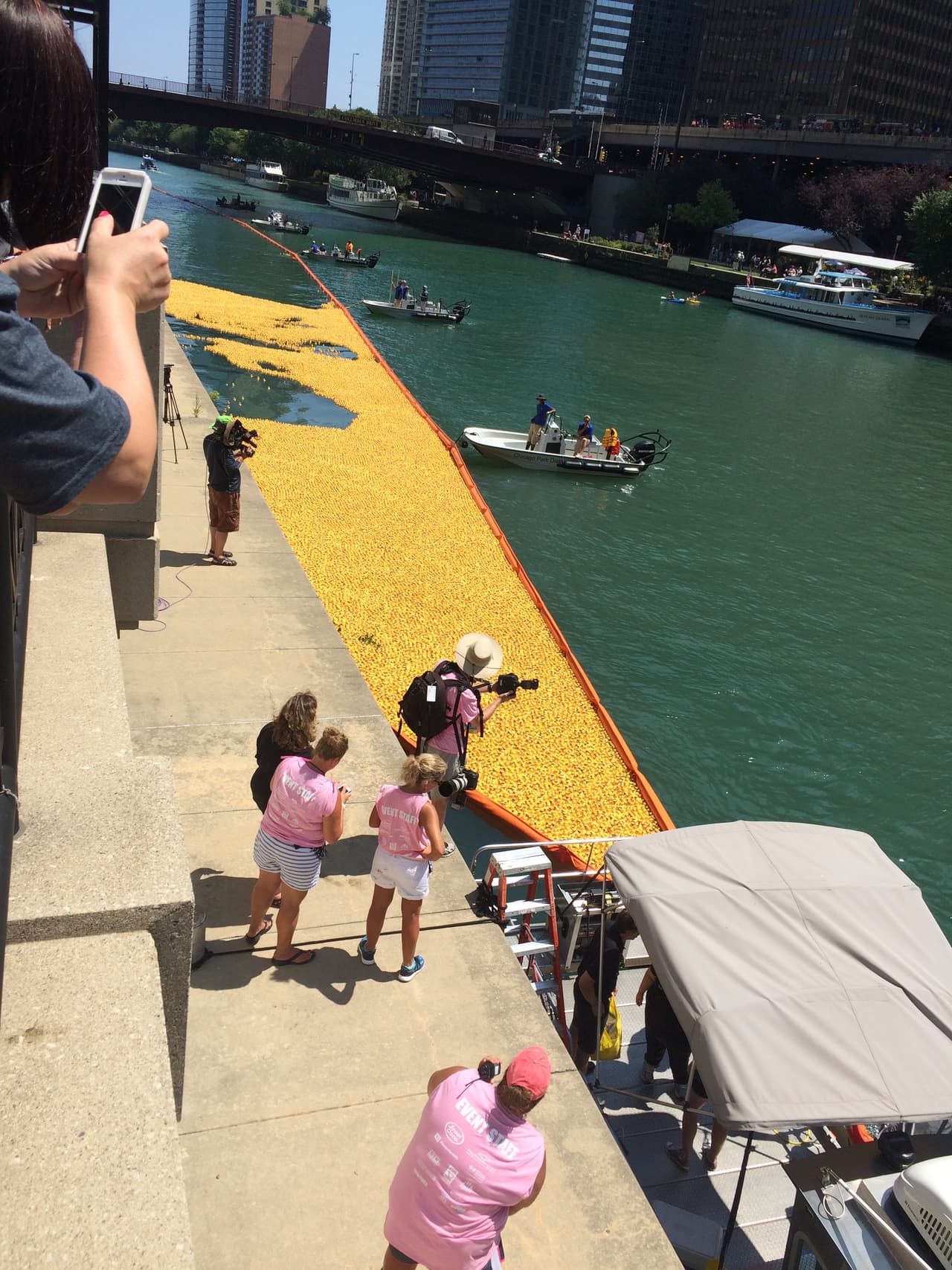 Miles de patitos de hule amarillos participaron este 4 de agosto en la Windy City Rubber Ducky Derby.