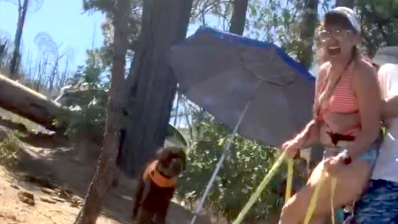 Durante julio se vivió un pico de casos de coronavirus, al mismo tiempo que las personas intentaban comenzaban a salir a lagos y ríos para capear las altas temperaturas de verano.
<br>
<br>Una serie de
<b><a href="https://www.univision.com/local/fresno-kftv/mujer-se-sale-de-control-al-exigir-distancia-fisica-en-un-lago-de-california-video">videos se volvió viral </a>donde mostraban visitantes discutir por la 'recomendada' distancia social.</b>