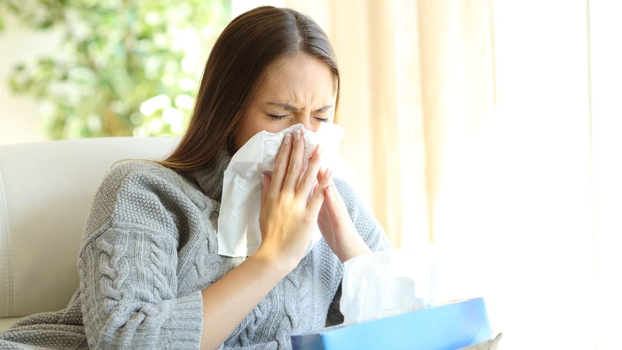 <h3 class="cms-H3-H3">Datos curiosos sobre las alergias en Texas </h3>
<br>Texas tiene 
<b>una de las temporadas de alergias más largas de Estados Unidos</b> debido a su tiempo cálido. 
<br>La “fiebre del cedro” es un fenómeno bien conocido en Texas, 
<b>causado por el polen del cedro de montaña en invierno</b>. 
<br>
<b>Austin, San Antonio, Dallas y Fort Worth</b> son algunas de las ciudades con niveles más altos de polen.