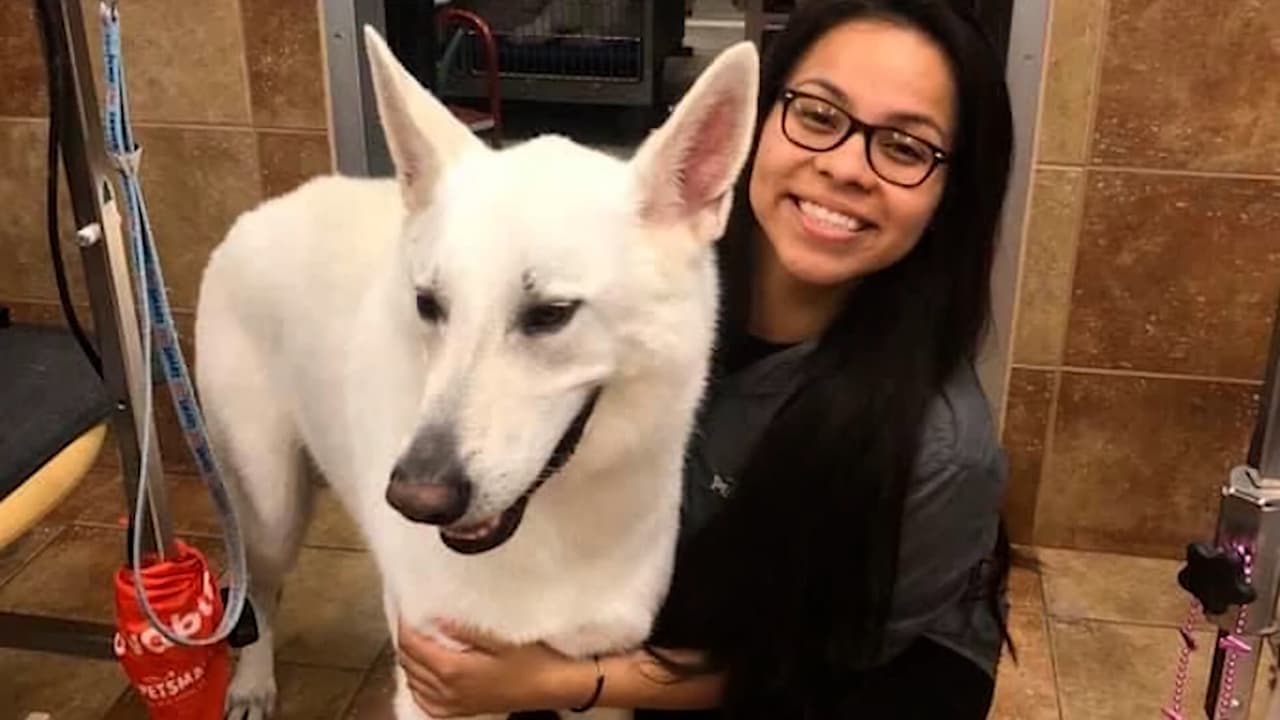 Viajó a México para una entrevista migratoria y ahora no la dejan volver en 10 años: el drama de una 'soñadora'