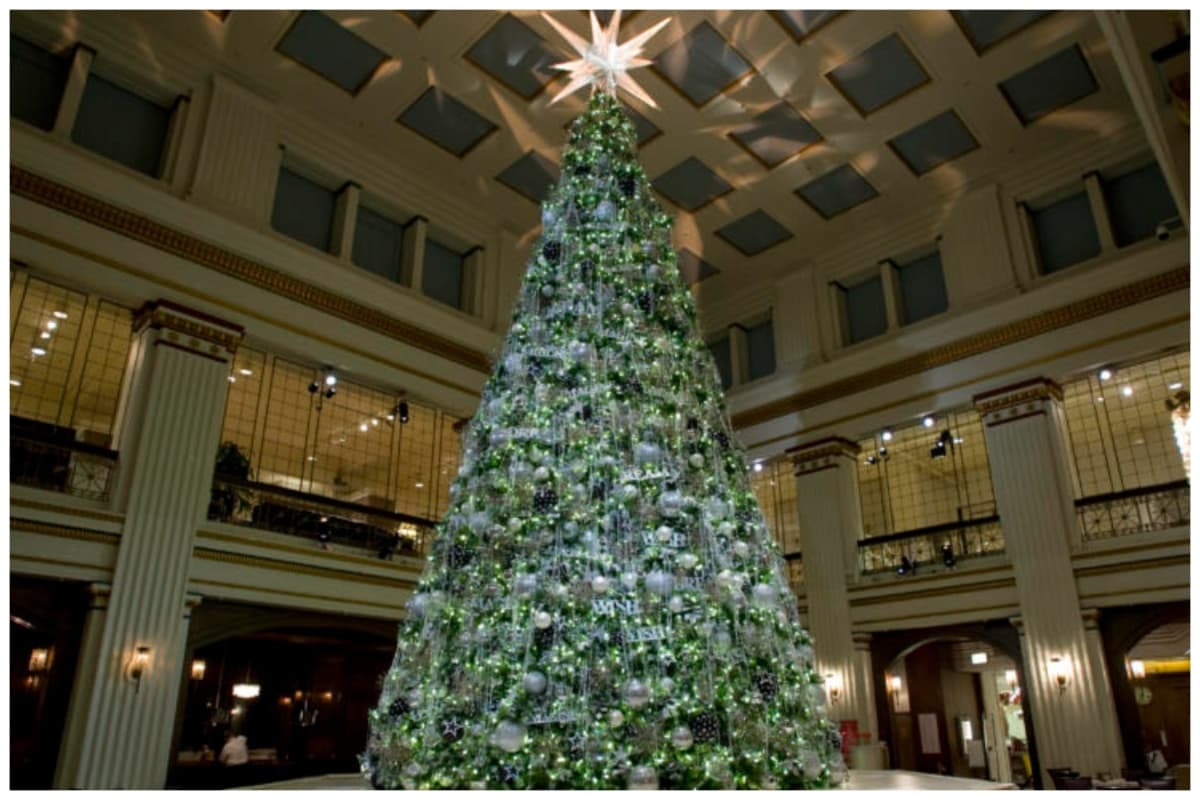 Los centros comerciales son una gran opción para ver la increíble magia de la Navidad, ya que todos están llenos de miles de luces de colores alusivas a esta temporada.
<b>Macy´s del centro</b>, se ha convertido en un destino vacacional navideño, ya que además de sus cientos de adornos en los escaparates, tiene uno de los árboles de navidad más altos de la zona. El árbol cuelga desde el techo de la tienda hasta el suelo.