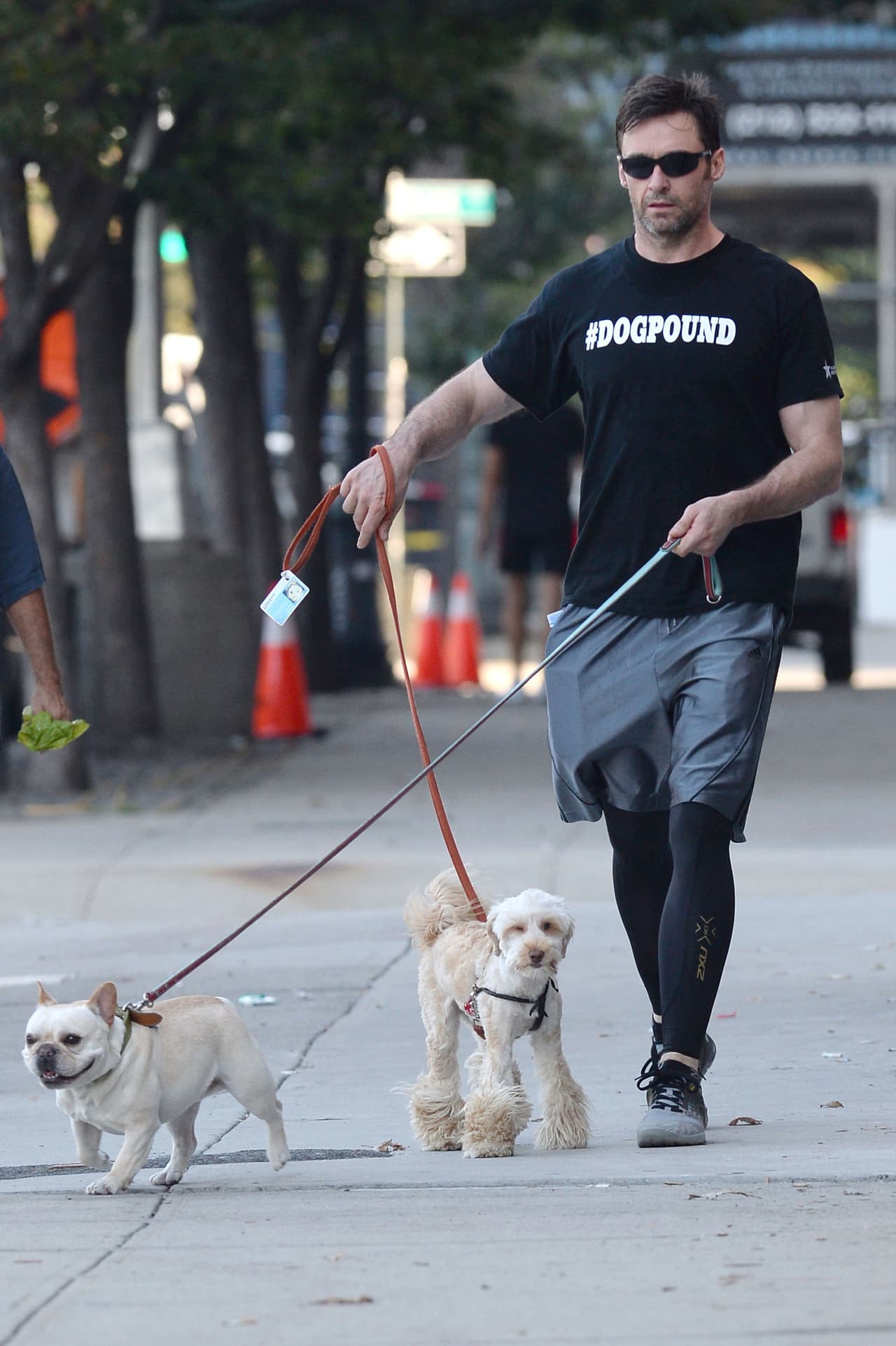 ¡Y por ello nos referimos a sus perritos!