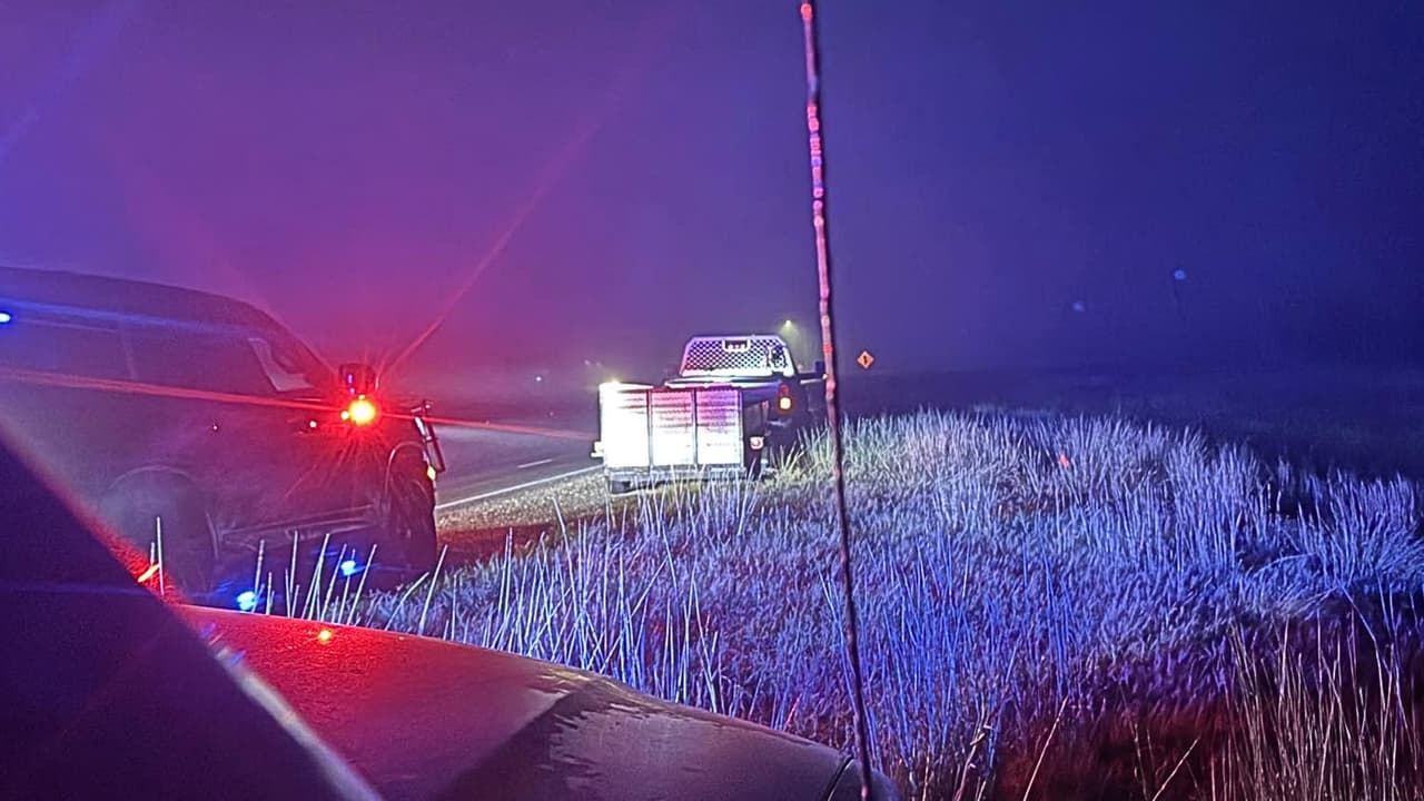 Alertan sobre mercado negro de carne tras hallar ganado robado en el centro de Texas