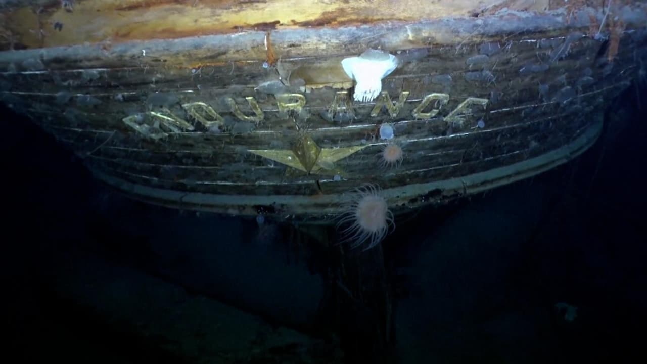 Se trata de uno de los naufragios más famosos de la historia en la Antártida; el Endurance, que se hundió en 1915. El barco iba camino al polo sur con una tripulación que tuvo que ser rescatada de la Isla Elefante, una famosa historia de supervivencia de la época. Más noticias 
<a href="https://www.univision.com/noticias" target="_blank">aquí</a>.