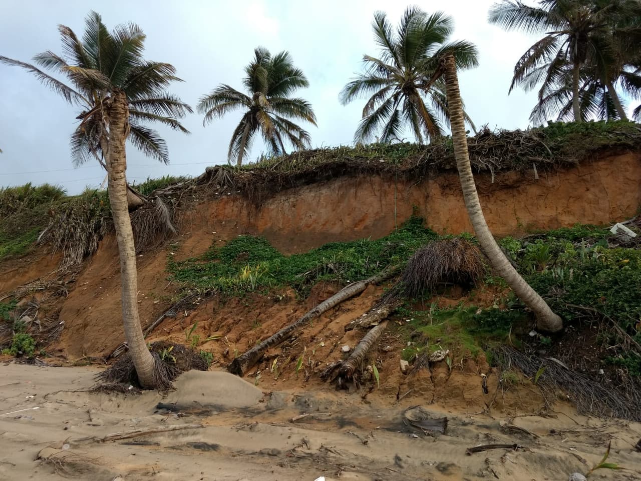 La comisión es presidida por el representante Joel Franqui Atiles.
<br>