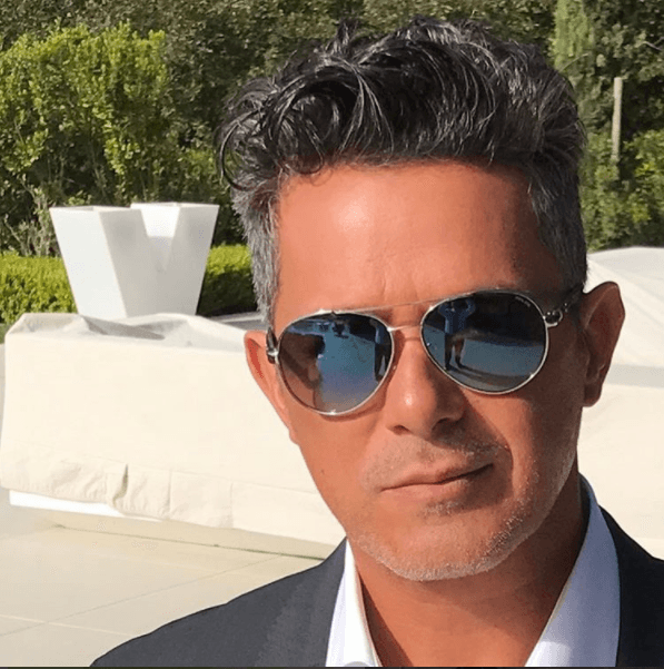 Otro de los cantantes que disfruta sus canas es 
<b>Alejandro Sanz. </b>El coqueto español de 48 años de edad ha decidio dejar de tenirse el cabello y mostrarse al natural, lo cual ha sido bien recibido por sus seguidoras.
