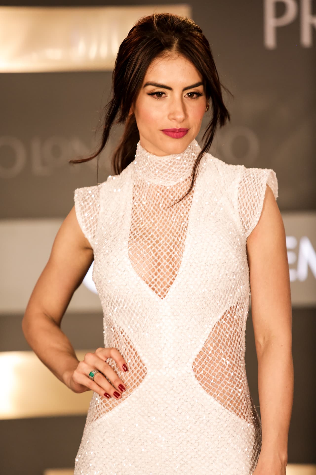 Jessica Cediel eligió un gran vestido y un gran peinado.