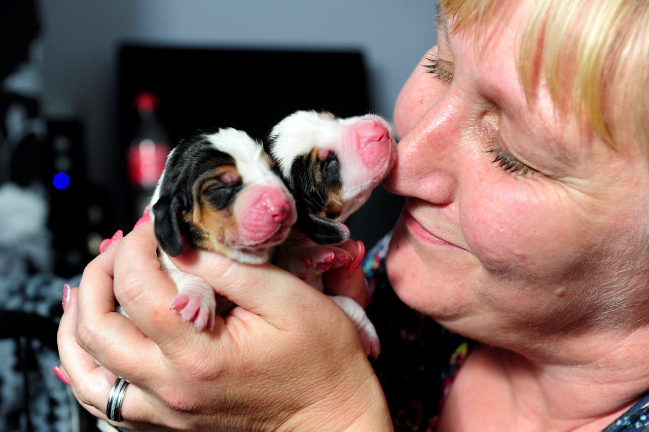 “Estamos completamente asombrados. Sabíamos que ella estaba grande, pero jamás imaginamos que tendría 14”, señaló Michelle.