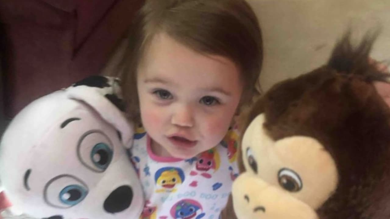 De acuerdo con los informes policías el conductor no pudo ver a la niña debido a su altura y la inclinación del camino de entrada de Sautee Nacoochee.