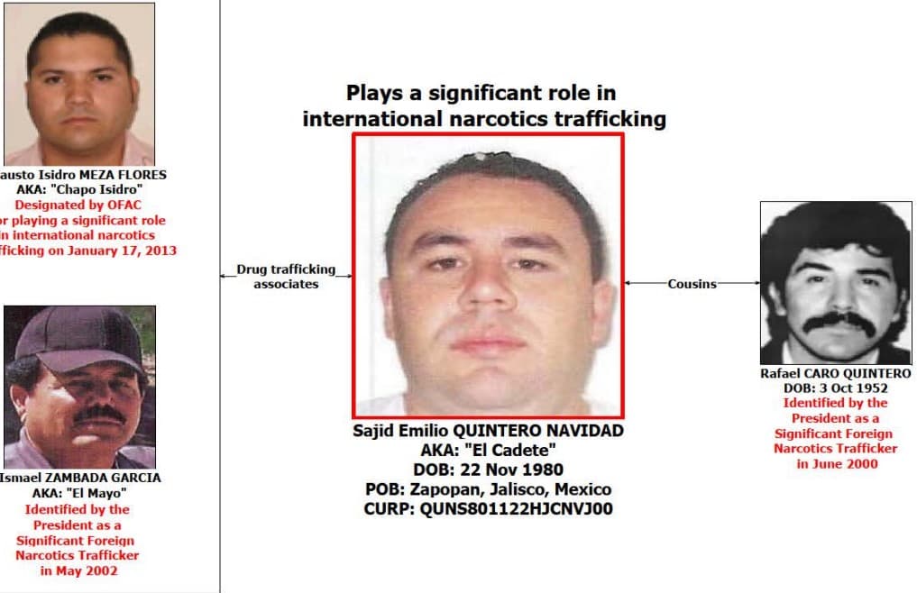 Sajid Emilio Quintero Navidad en un organigrama de la OFAC.