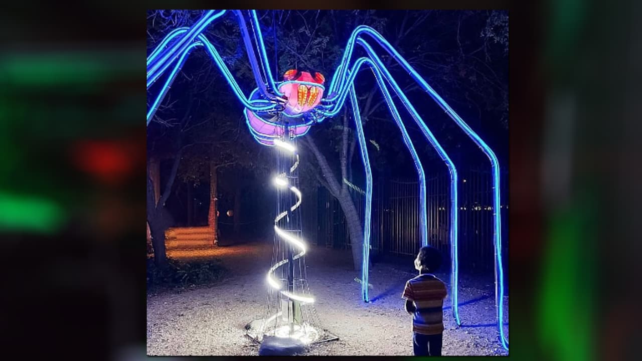 <b>Frights’n Lights:</b> El plan perfecto para los amantes de las fotografías y selfies, cuenta con un huerto de calabazas, atracciones y una casa embrujada, un plan para toda la familia. Dirección: 
<b>Riders Ballpark, 7300 Roughriders Trail, Frisco. Entradas desde los $22.99.</b> Para conocer más sobre sus actividades, horarios y más, entra a 
<a href="https://www.frightsnlights.com/" target="_blank">frightsnlights.com </a>