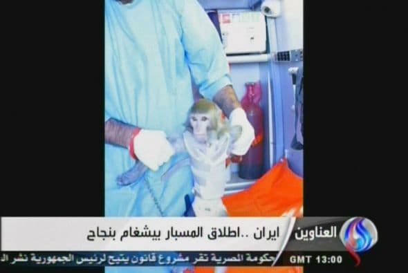 No es la primera vez que el país anuncia el lanzamiento de una criatura viva al espacio. En 2010, Teherán anunció que había lanzado un cohete con un ratón, una tortuga y gusanos.