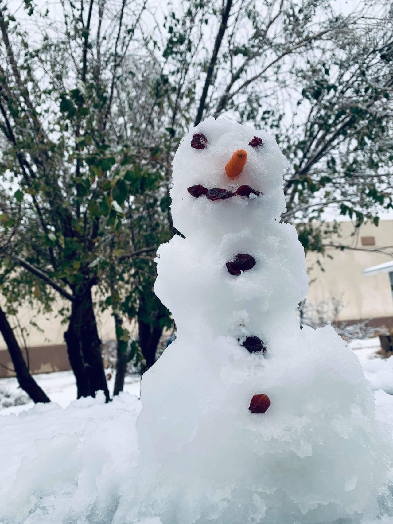 "Nos cayo fuerte la nieve acá en Hesperia california😊😊😊", escribió Aurora Coria.