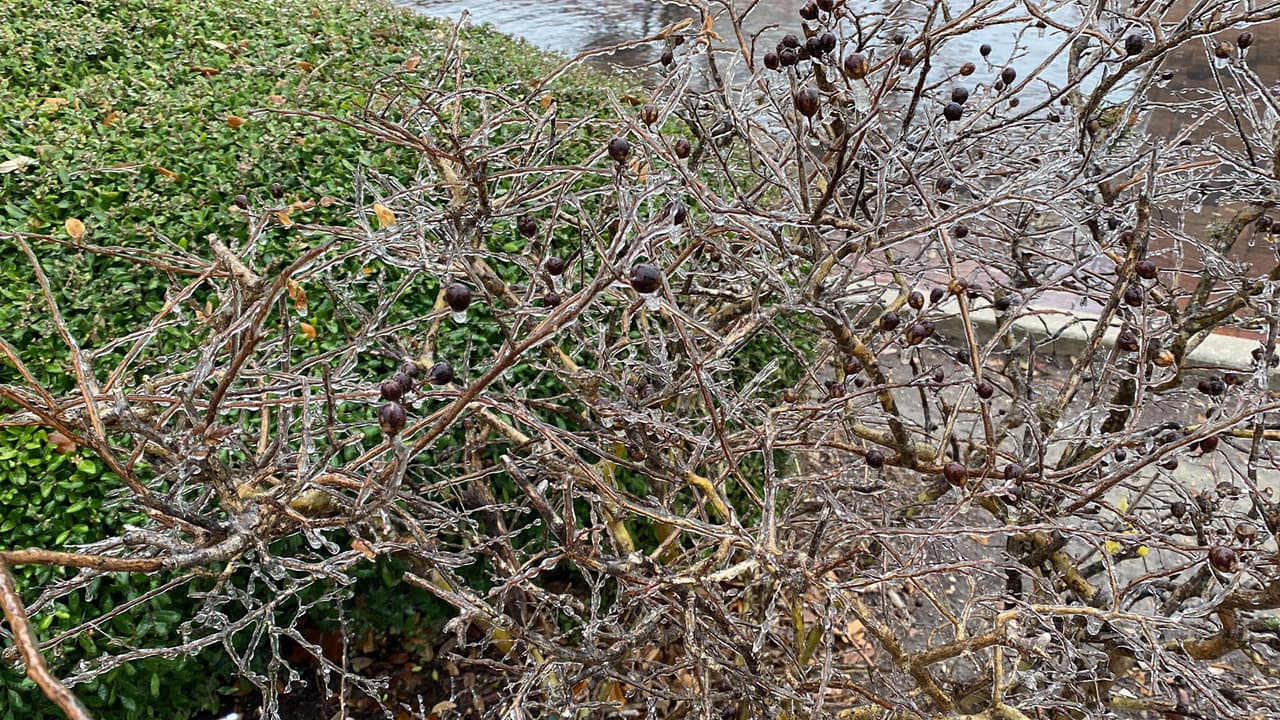 Se espera que viajar sea muy difícil en 
<a href="https://www.univision.com/local/san-antonio-kwex/frente-frio-texas-san-antonio-artico-2022">puentes elevados, pasos elevados y carreteras. </a>