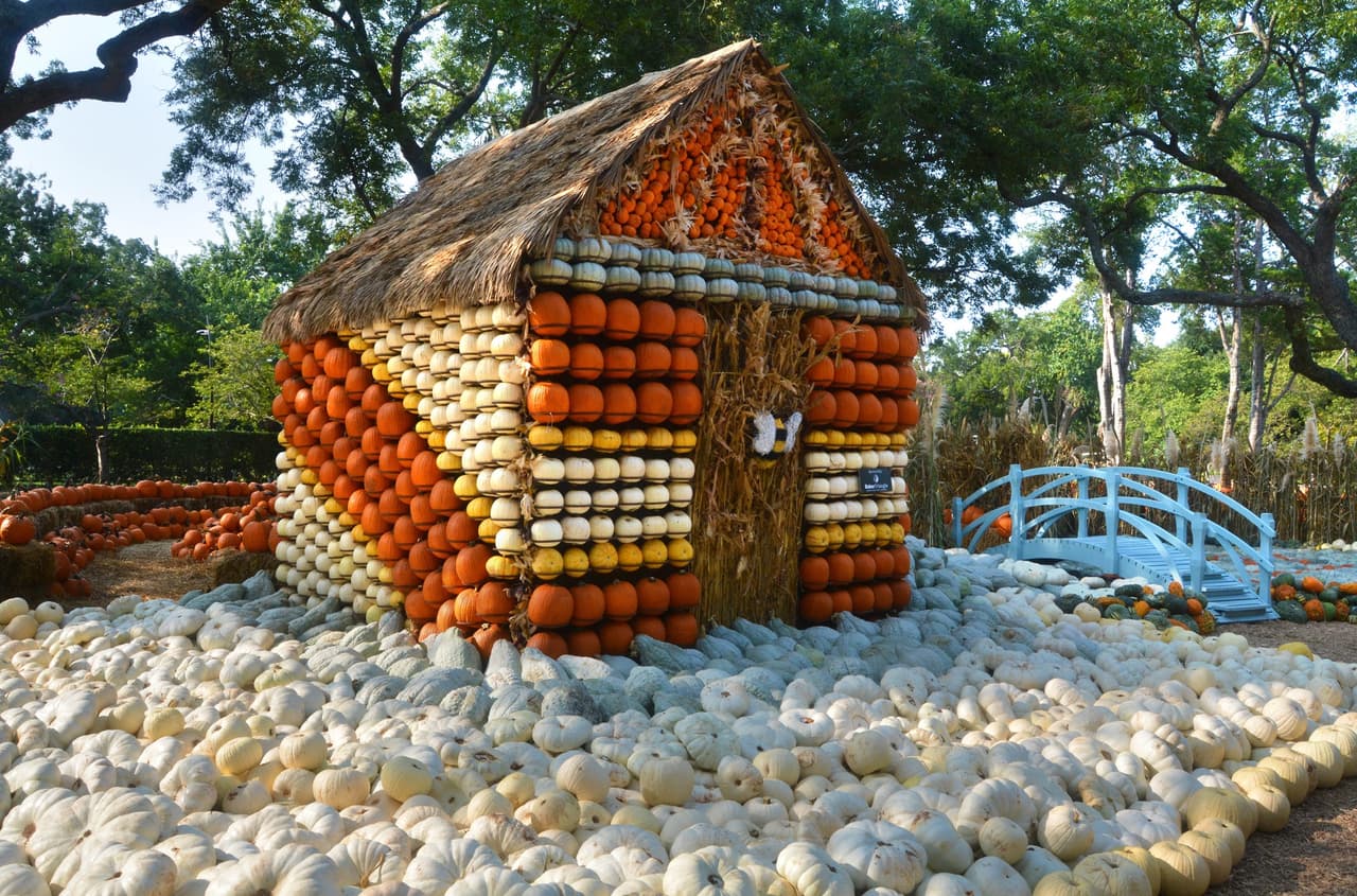 Esta casa decorada de calabazas es una de las atracciones populares del jardín botánico esta temporada.
<br>