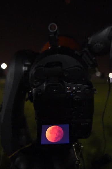 Sin embargo, la Luna no desaparece de la vista, sino que se tiñe de rojo.