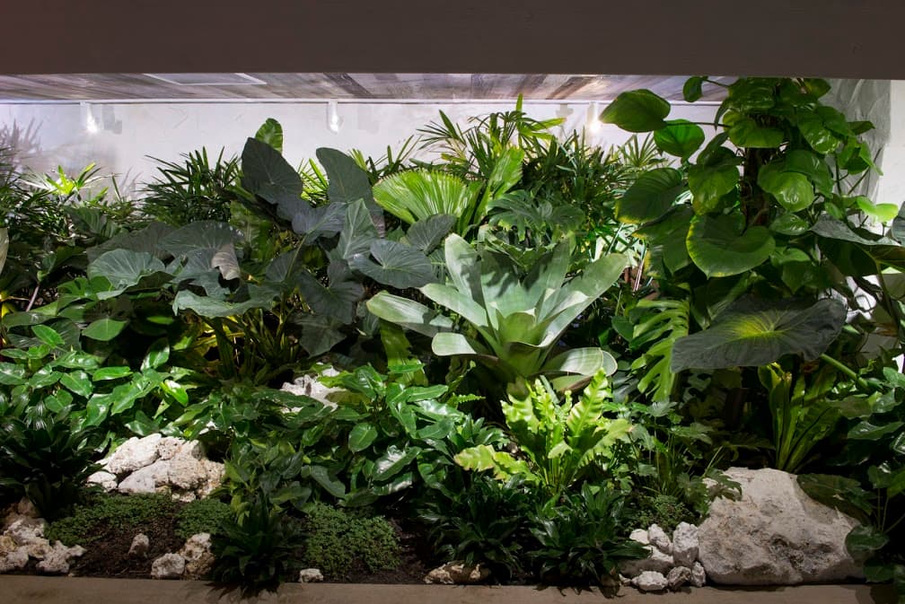 Pequeño patio interno en One Hotel en South Beach, Miami.
<br>