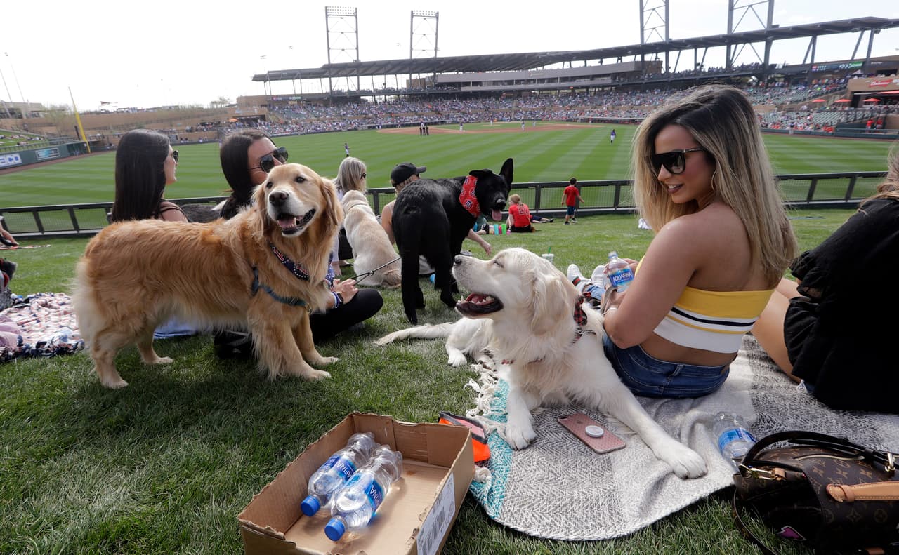 Nadie se quiere quedar fuera de la diversión. Una aficionada se acercó a este parque de pelota Salt River Fields para ver el juego entre Colorado Rockies y los Los Angeles Angels en Arizona.