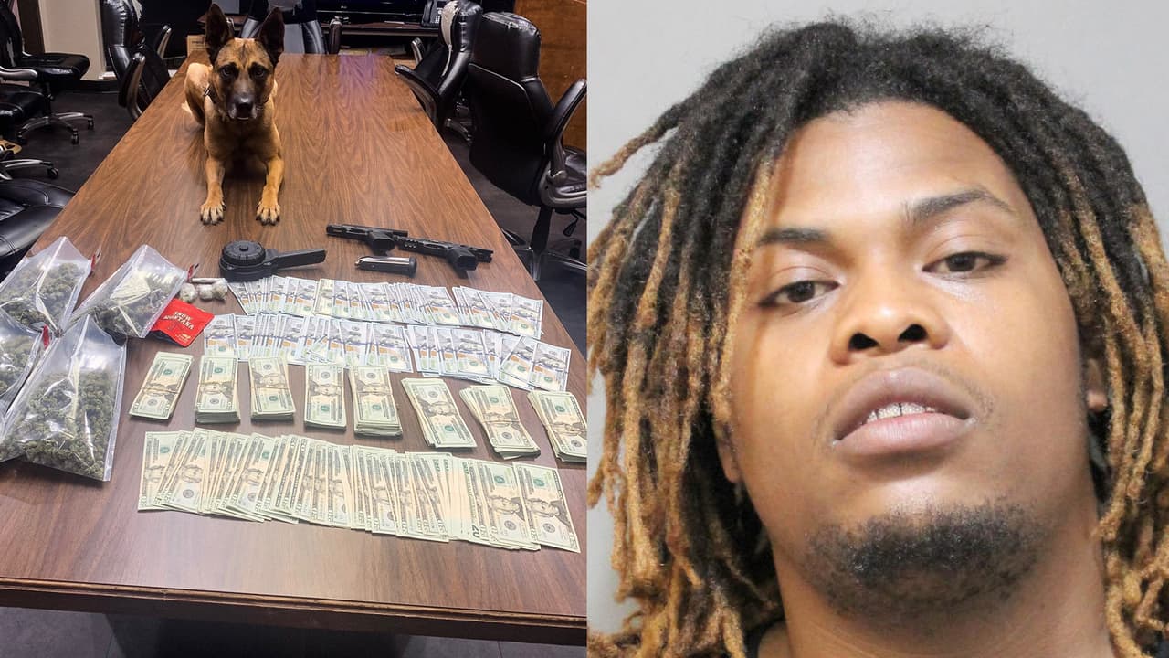 Decomisan casi $22,000 y marihuana con ayuda de un perro policía al norte de Houston