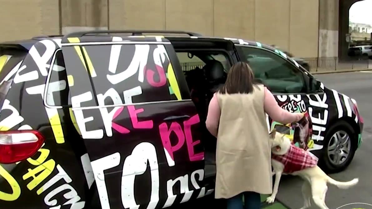 'Where to Pet Dispatch': el taxi para mascotas que ofrece traslado, ambulancia y servicios fúnebres