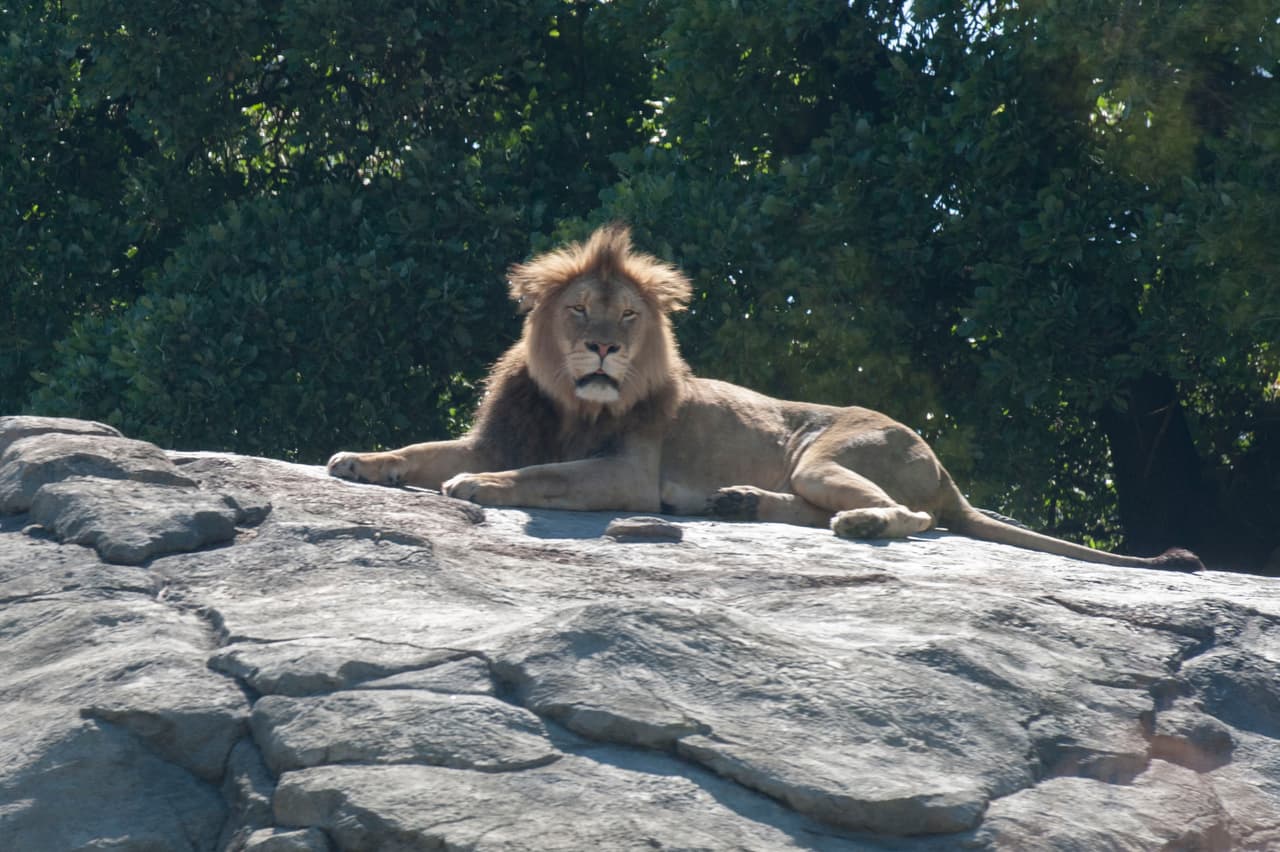 Un bello dia fue perfecto para las familias desde Bakersfield a Modesto.