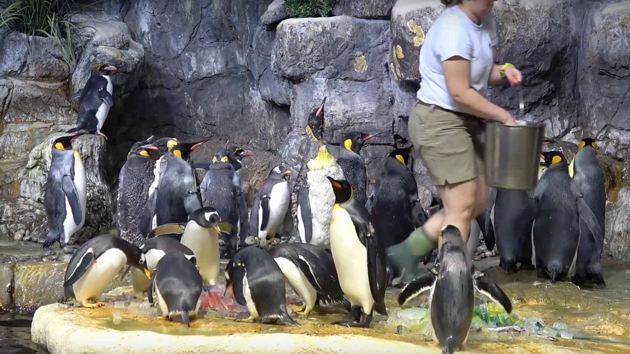 Llego el momento de decidir.