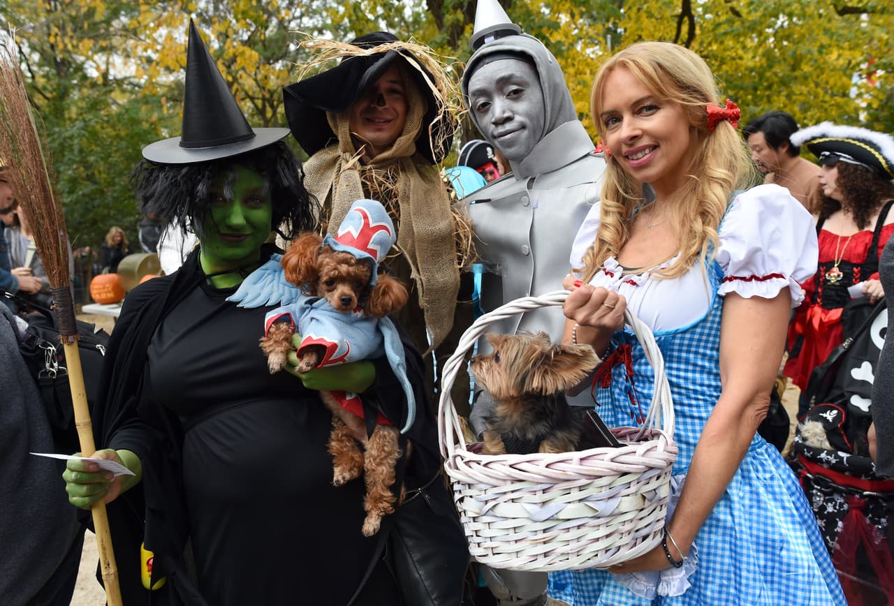 Mira todos los disfraces de las mascotas concursantes y sus dueños entre los que hubo todo tipo de dinosaurios, tal vez aprovechando el reciente estreno de la película 'Jurassic World', o también algunos inspirados en 'Volver al Futuro', además hubo cocodrilos, dragones, personajes de 'El Mago de Oz', 'Los Picapiedra' y hasta algunos perritos disfrazados de Donald Trump.