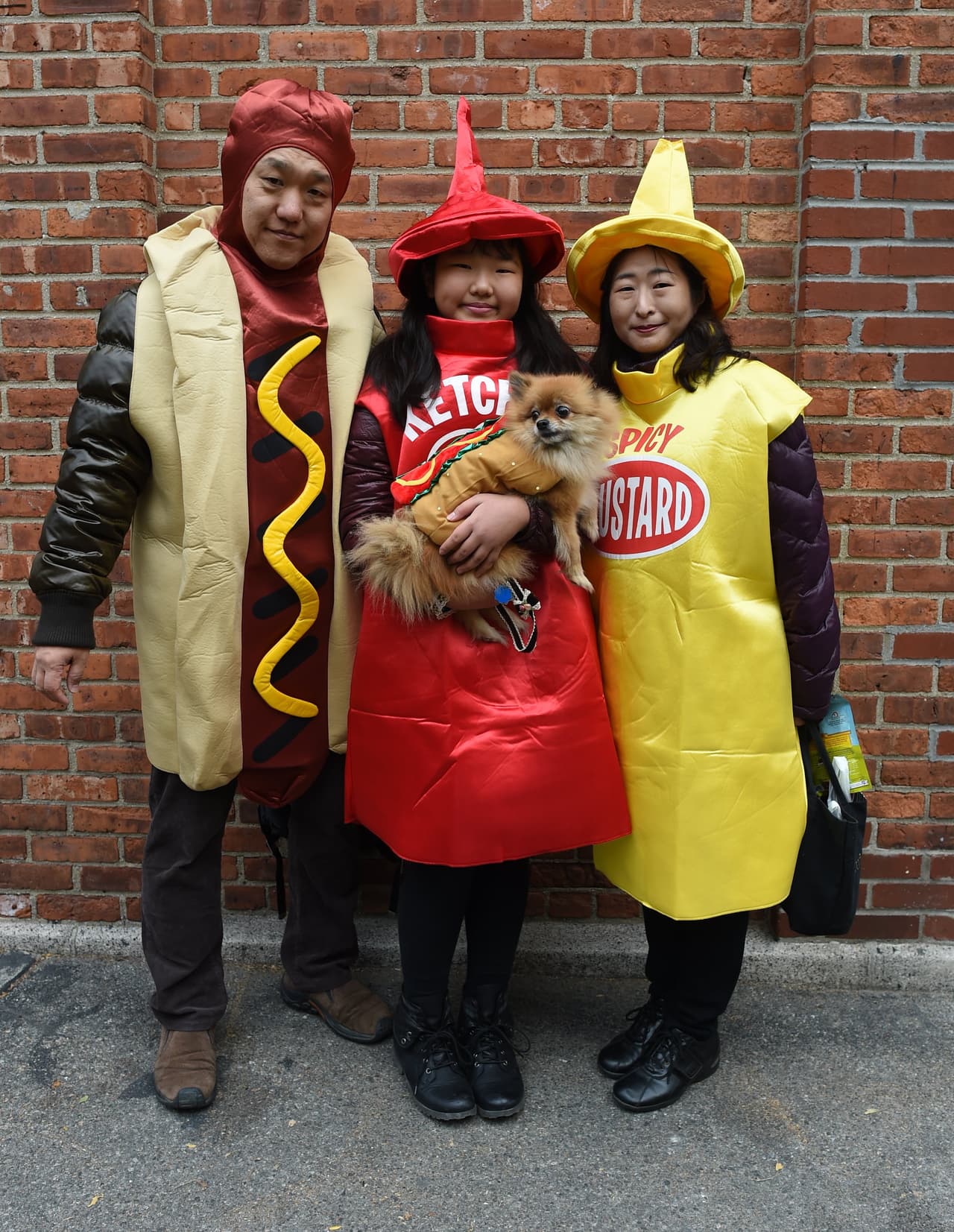 Mira todos los disfraces de las mascotas concursantes y sus dueños entre los que hubo todo tipo de dinosaurios, tal vez aprovechando el reciente estreno de la película 'Jurassic World', o también algunos inspirados en 'Volver al Futuro', además hubo cocodrilos, dragones, personajes de 'El Mago de Oz', 'Los Picapiedra' y hasta algunos perritos disfrazados de Donald Trump.