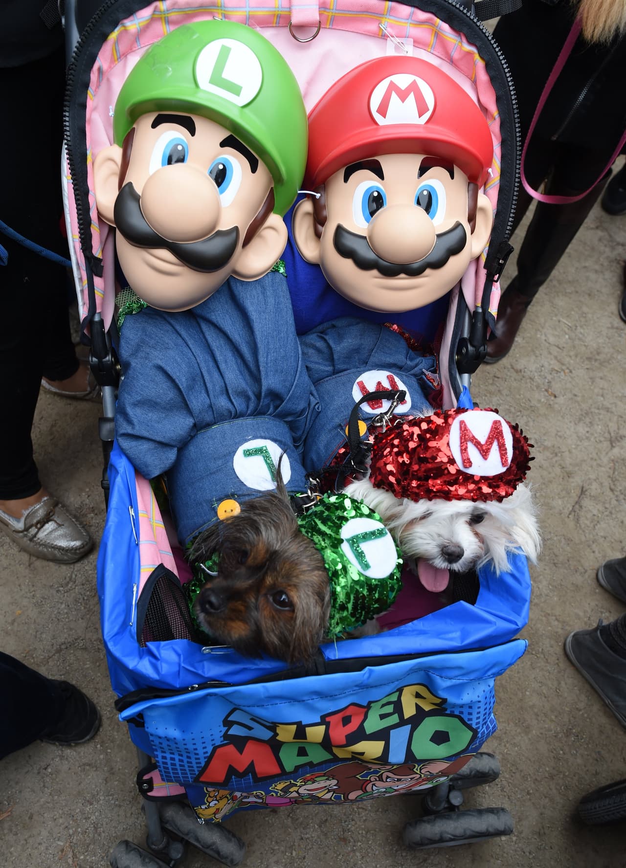 Mira todos los disfraces de las mascotas concursantes y sus dueños entre los que hubo todo tipo de dinosaurios, tal vez aprovechando el reciente estreno de la película 'Jurassic World', o también algunos inspirados en 'Volver al Futuro', además hubo cocodrilos, dragones, personajes de 'El Mago de Oz', 'Los Picapiedra' y hasta algunos perritos disfrazados de Donald Trump.