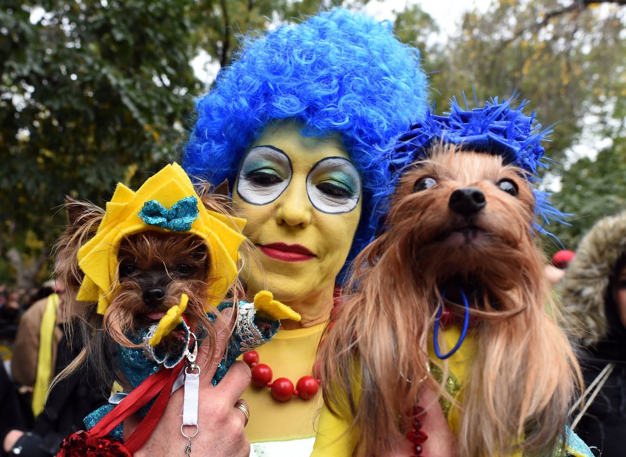 Mira todos los disfraces de las mascotas concursantes y sus dueños entre los que hubo todo tipo de dinosaurios, tal vez aprovechando el reciente estreno de la película 'Jurassic World', o también algunos inspirados en 'Volver al Futuro', además hubo cocodrilos, dragones, personajes de 'El Mago de Oz', 'Los Picapiedra' y hasta algunos perritos disfrazados de Donald Trump.