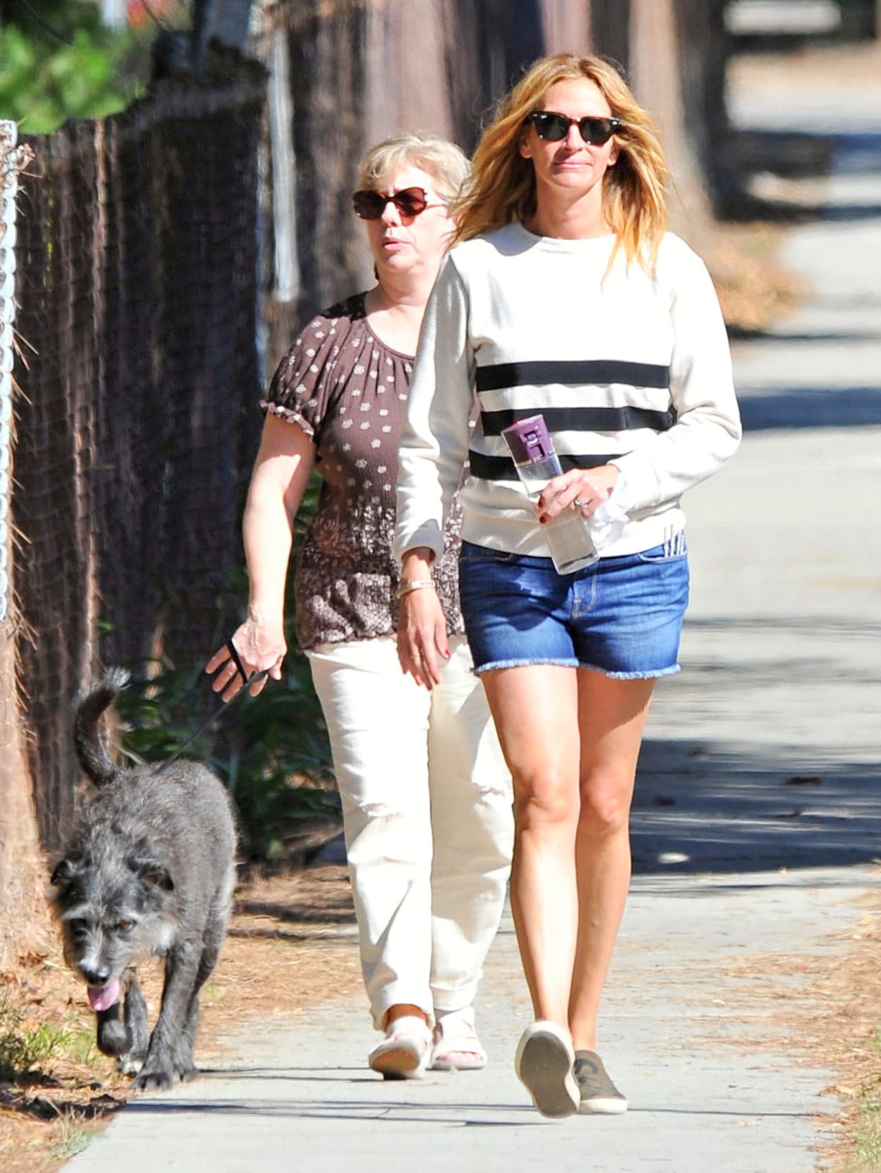 Julia Roberts paseó con su perrito.
