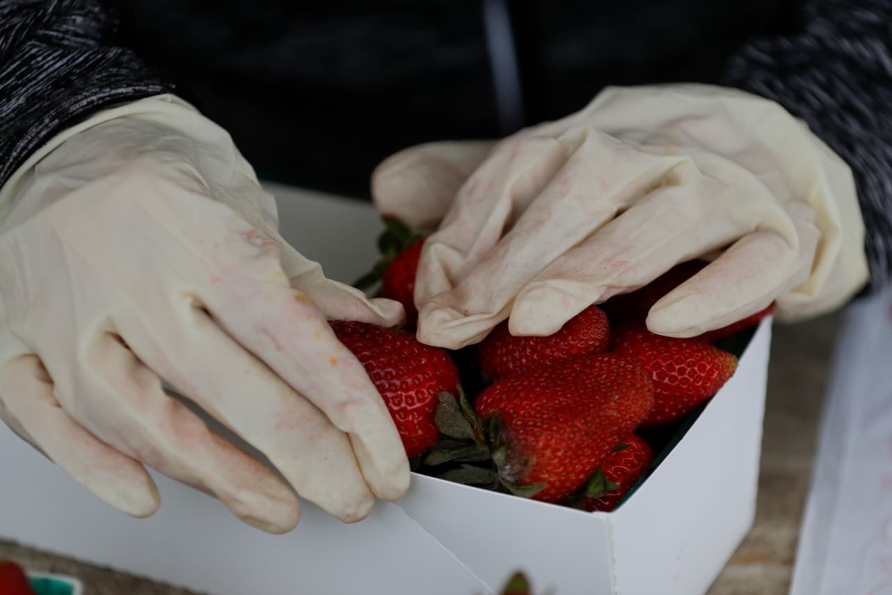 Una medida preventiva implementada en muchos mercados es 
<b>el uso de guantes desechables para trabajar y preparar las frutas y verduras. </b>(AP/Chris Carlson)