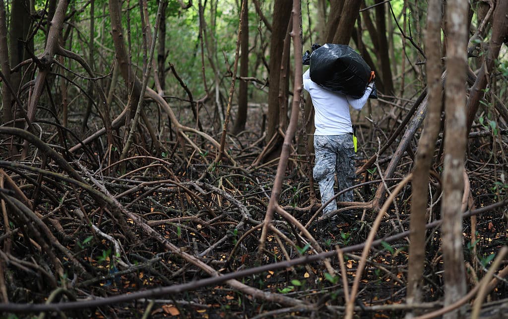 Andrew Otazo carga una bolsa de 22 kilos de basura para desecharla tras recogerla en un manglar en Virginia Key el 22 de abril de 2025 en el que se conmemora el Día de la Tierra.