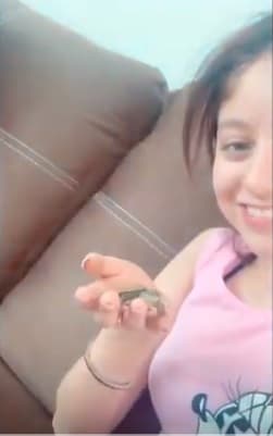 ¿Cómo llegó la tortuga a sus manos? "Debo tener cuidado con lo que digo porque el otro día dije en un live (un 'en vivo') que quería una tortuga”. Después de un año de haber declarado esto en Instagram, sus deseos se hicieron realidad.