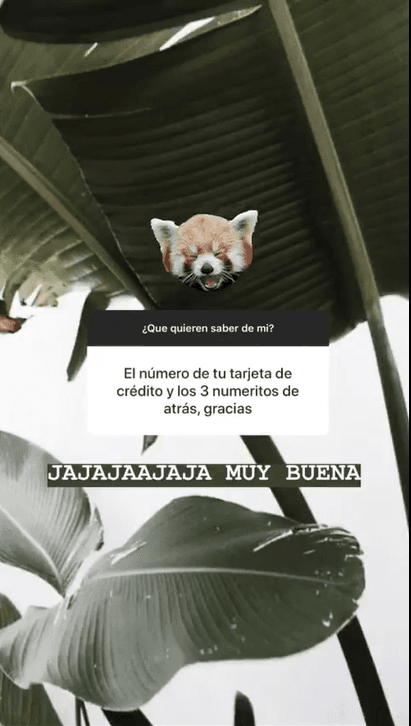 Desde el número de su tarjeta de crédito y los "3 numeritos" que vienen en la parte trasera del plástico.