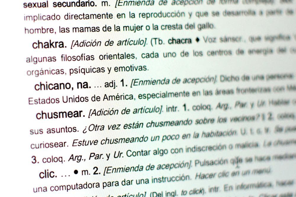 Táper, porro y aporofobia: estas son las nuevas palabras que la Real Academia sumó a su diccionario