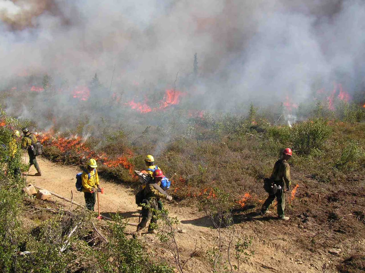 <b>Puesto 6: Complejo de incendios Eagle, Alaska (2004).</b> En un año en el que la temporada de incendios fue extrema en ese estado, este grupo de fuegos quemaron 660,000 acres. Cerca de la frontera con Canadá.