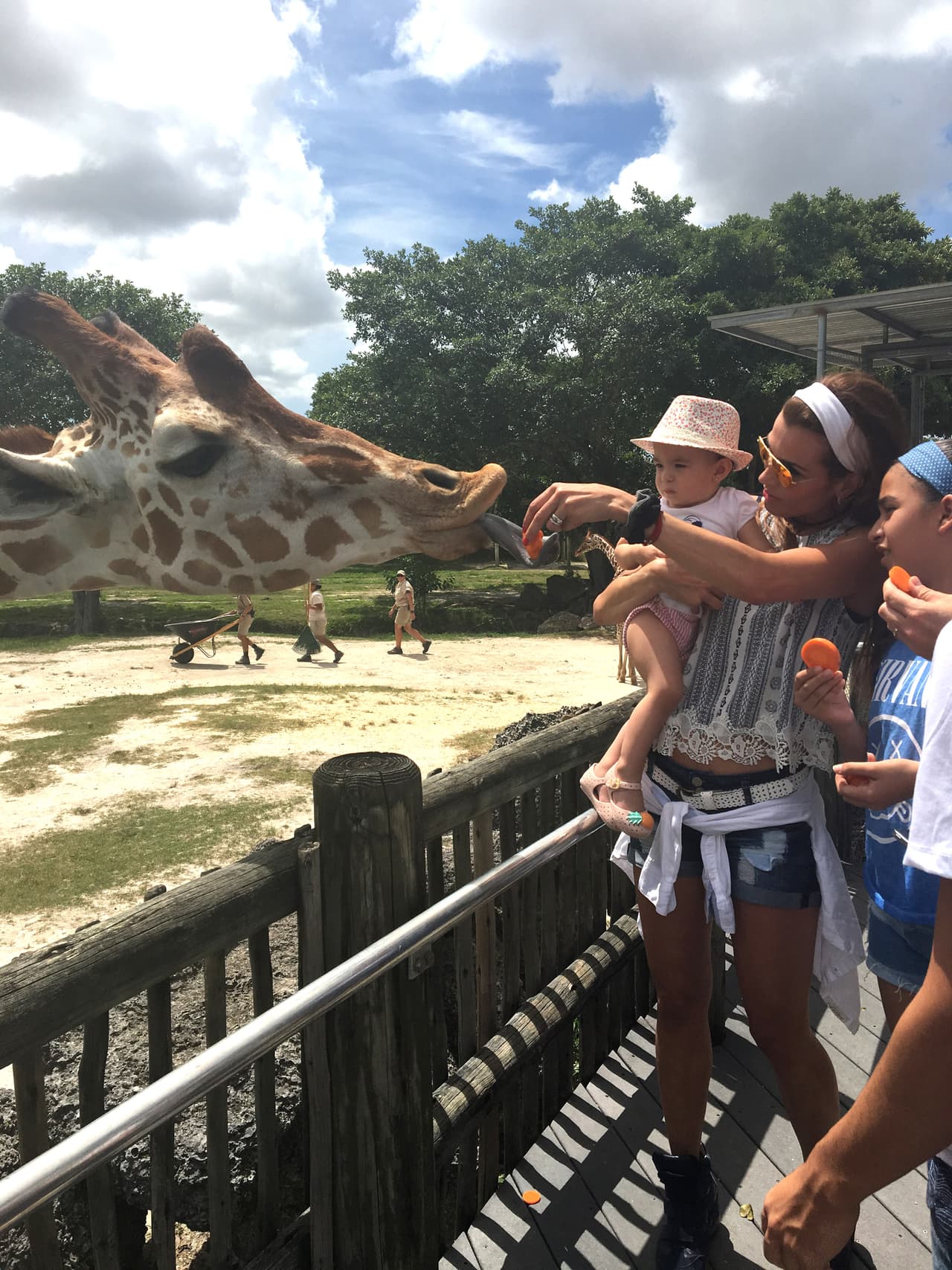 Michelle nunca tuvo miedo a la jirafa que quería comer una rica zanahoria.