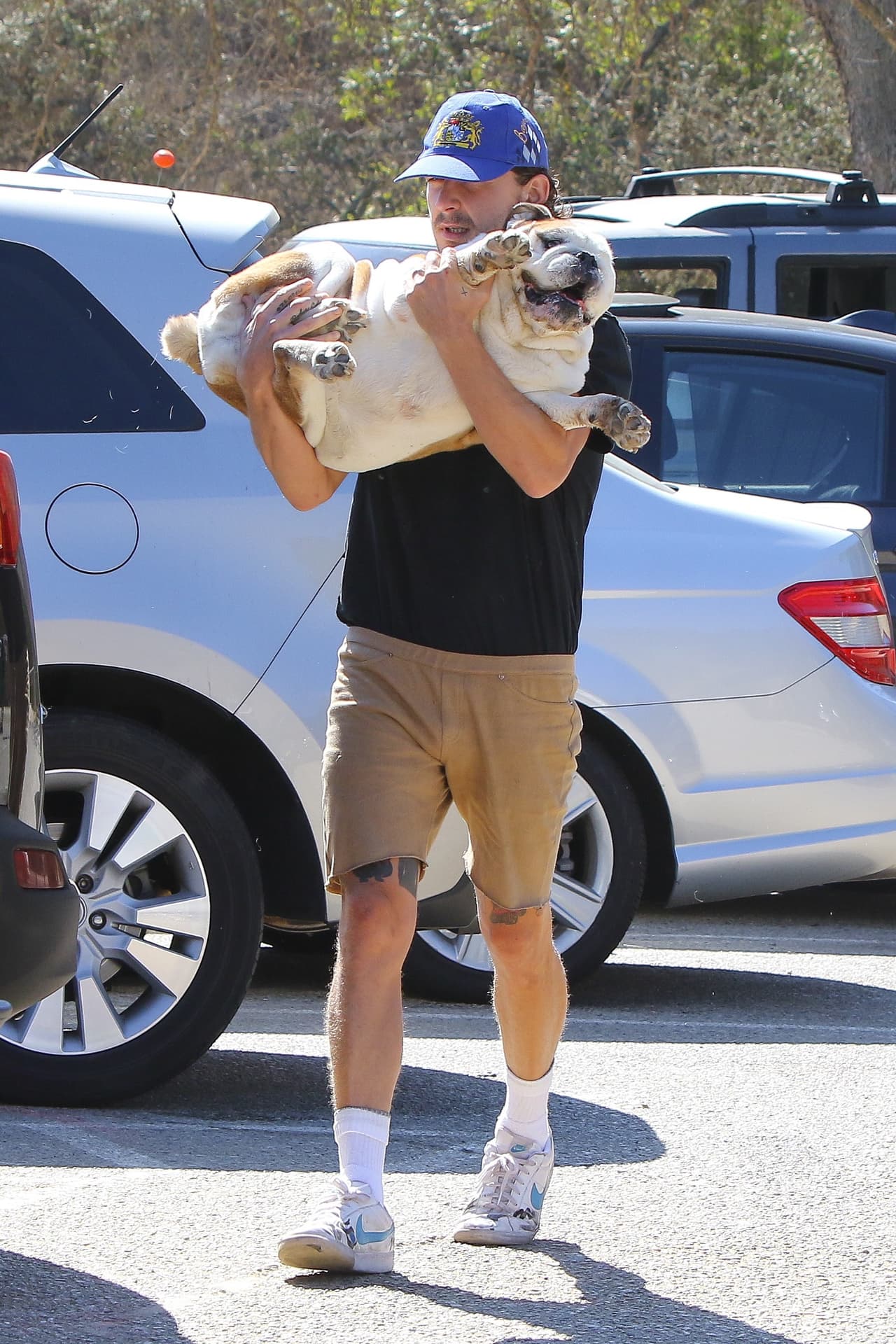 Se nota que su mascota pesa muchísimo.