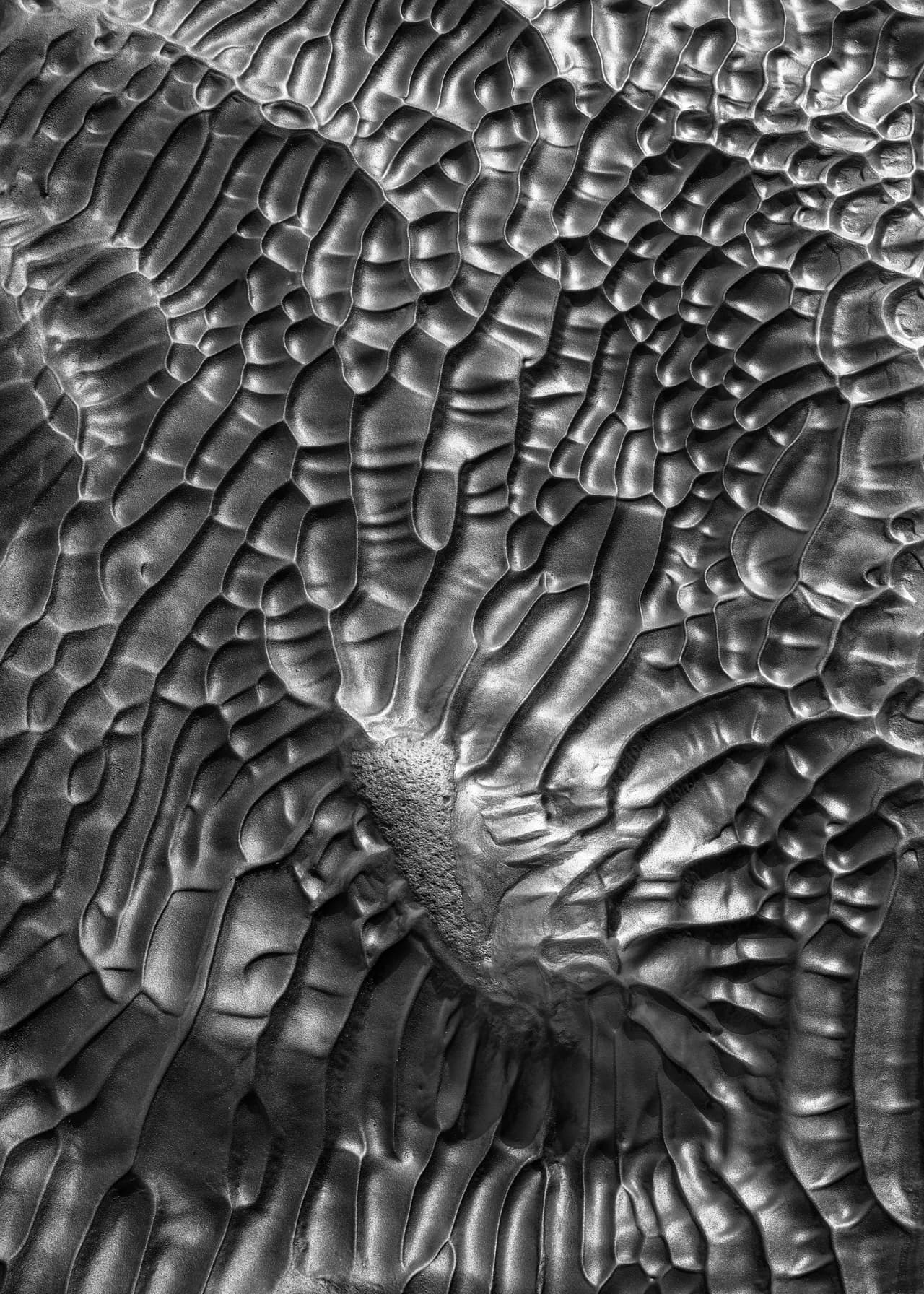 Bláfellsá, Islandia. El fotógrafo Oleg Ershov fue el ganador del concurso de este año.
<br>