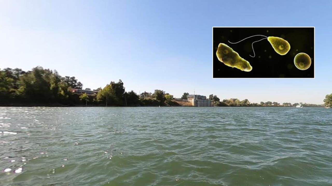 Ecos de la muerte de un joven por la “ameba come-cerebros” tras visitar el lago Mead en Arizona