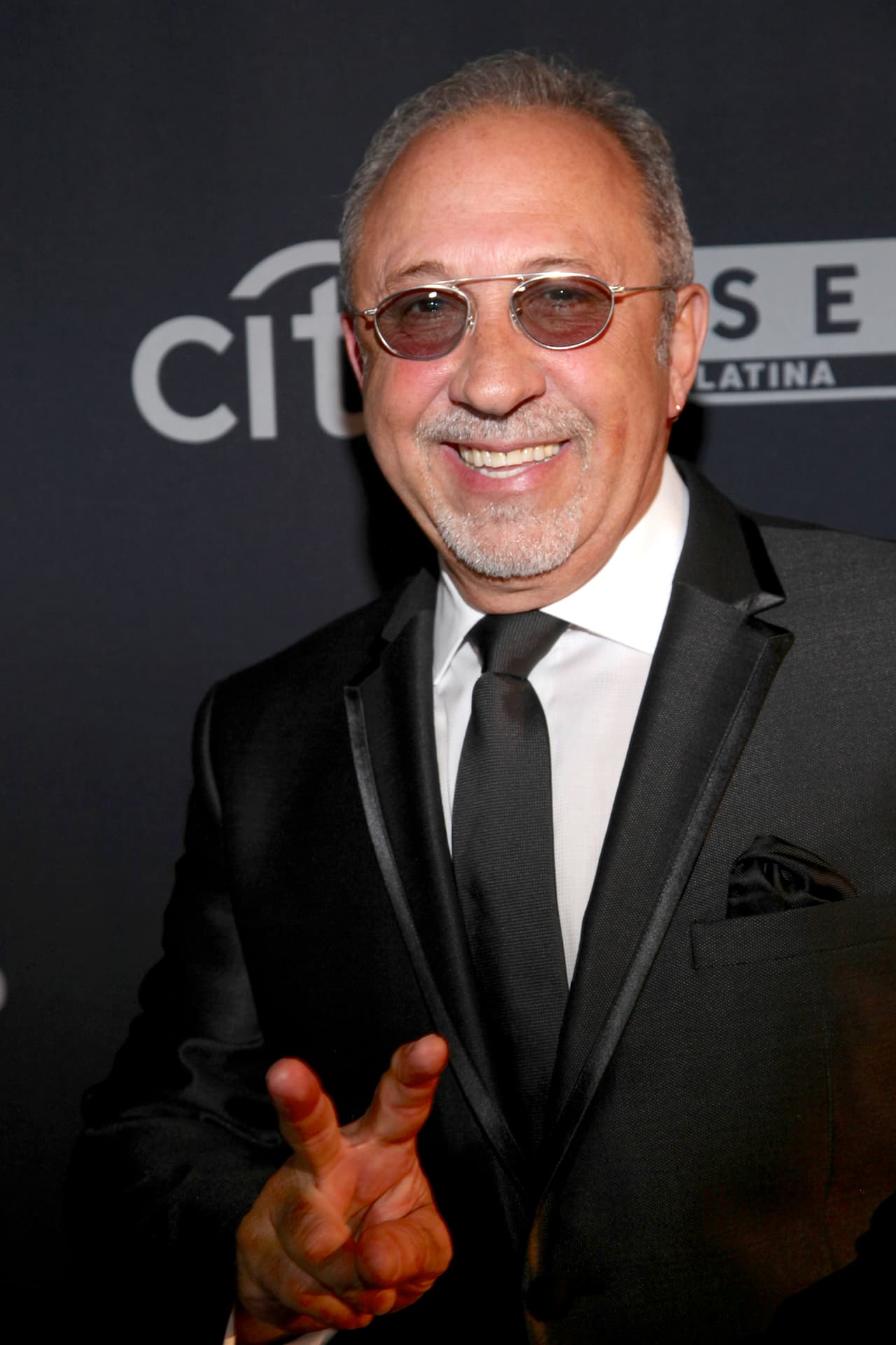 Tal es el caso de Thalía, Shakira, Ricky Martin y Cristian Castro.