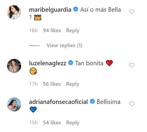 Varios famosos le dejaron cariñosos mensajes en los que alabaron su figura, como fue el caso de Maribel Guardia, Luz Elena González y Adriana Fonseca, entre otras estrellas. 
<br>