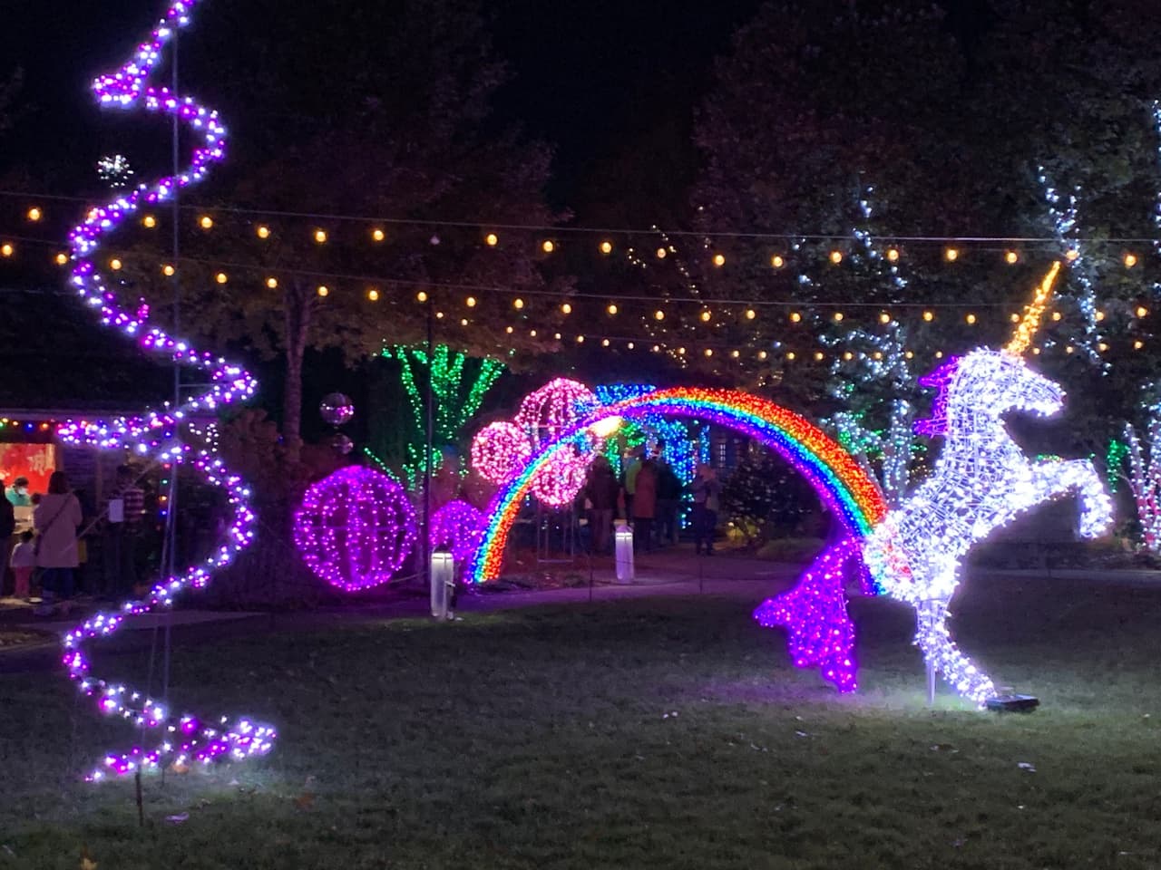 <b>Winter Lights at the North Carolina Arboretum</b>
<br>
<b>Fechas</b>: 17 de noviembre al 31 de diciembre
<br>
<b>Lugar</b>: 100 Frederick Law Olmsted Way. Asheville, NC
<br>
<b>Sitio web</b>: 
<a href="https://www.ncarboretum.org/winter-lights/">https://www.ncarboretum.org/winter-lights/</a> 
<br>
<br>Disfruta de este espectáculo de miles de luces que se extienden a lo largo de más de una milla de los jardines del campus.