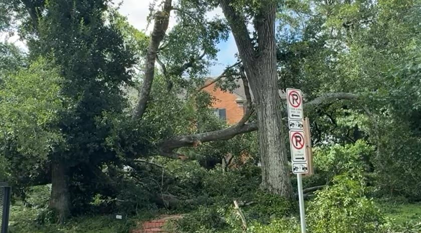 Los sitios donde el meteoro se hizo presente muestran huellas inequívocas de su poder destructor.
