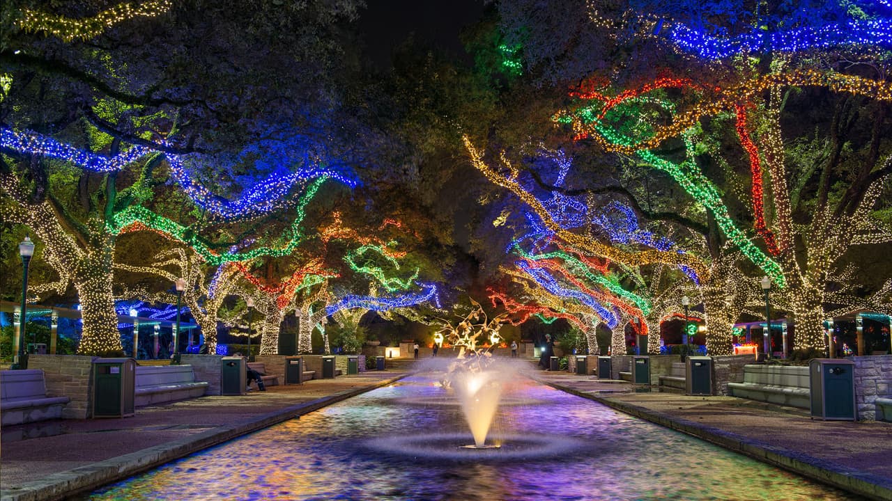 El bosque encantado será en 4-D.