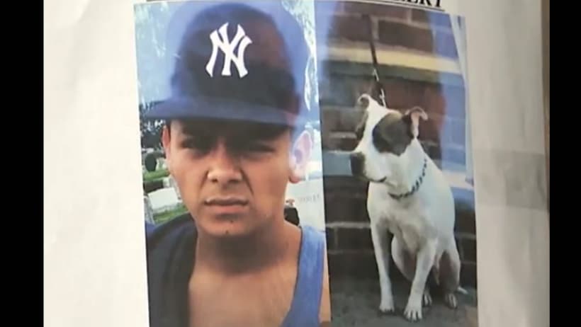 Bryan Steven Cho Lemus, de 18 años, sacó a su perro 'Chulu' a caminar el pasado 22 de agosto y nunca regresó a su hogar, en la ciudad de Uniondale, en el condado Nassau.