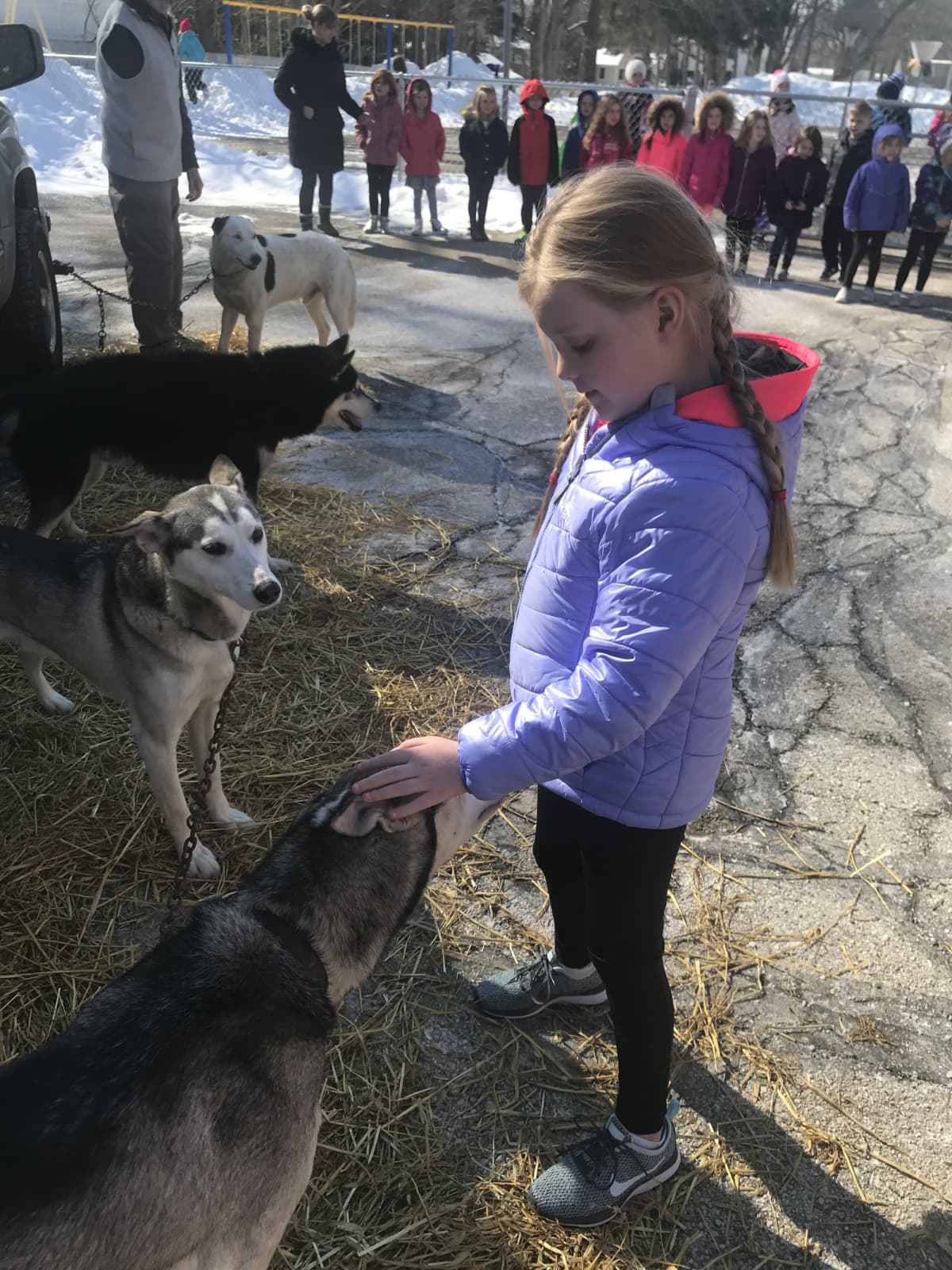 Emma sigue recibiendo la visita de perros que van a animarla cada día.