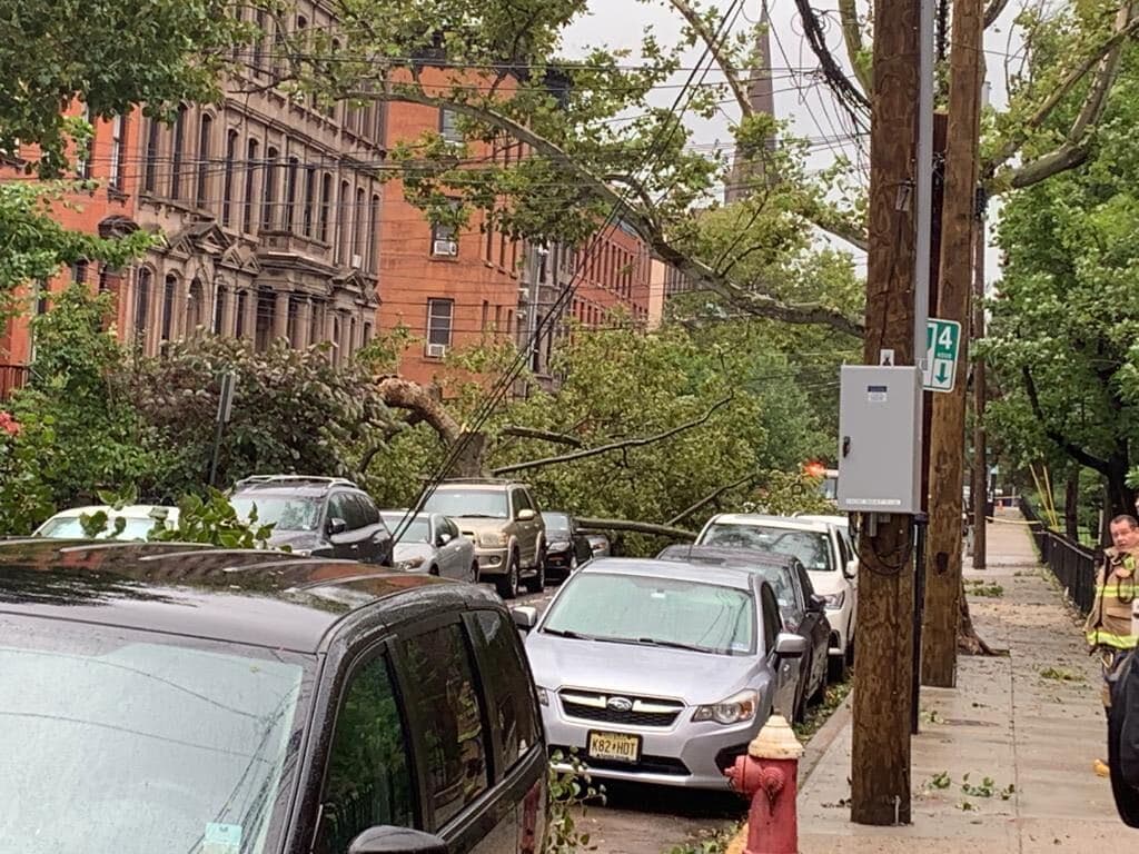 Hoboken en Nueva Jersey se vio afectado con caída de árboles sobre autos y veredas.