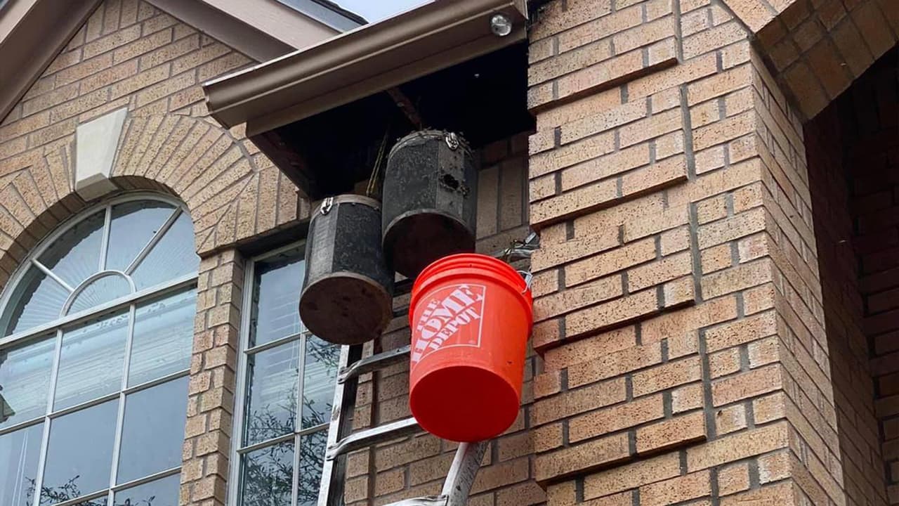 Los nuevos dueños dicen que el inspector no pudo haber tenido conocimiento de la colonia de abejas.